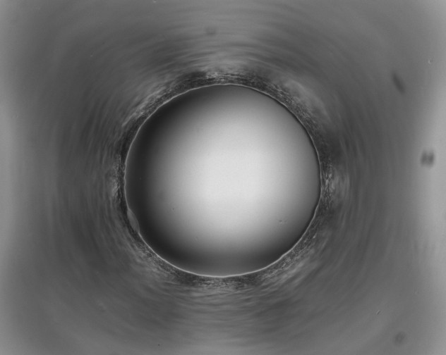 X0000097621012200803071505