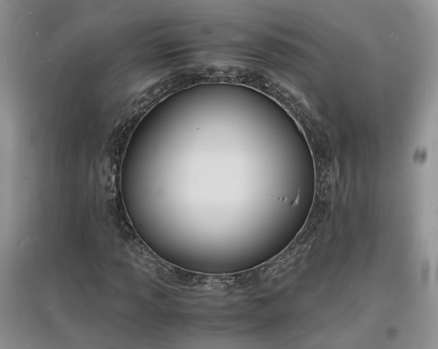 X0000097621013200803071505