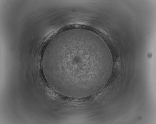 X0000097621014200803071505