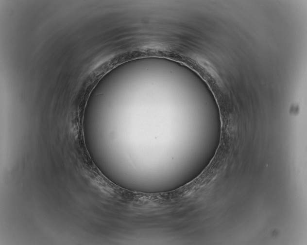 X0000097621015200803071505