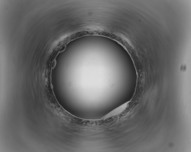 X0000097621016200803071505