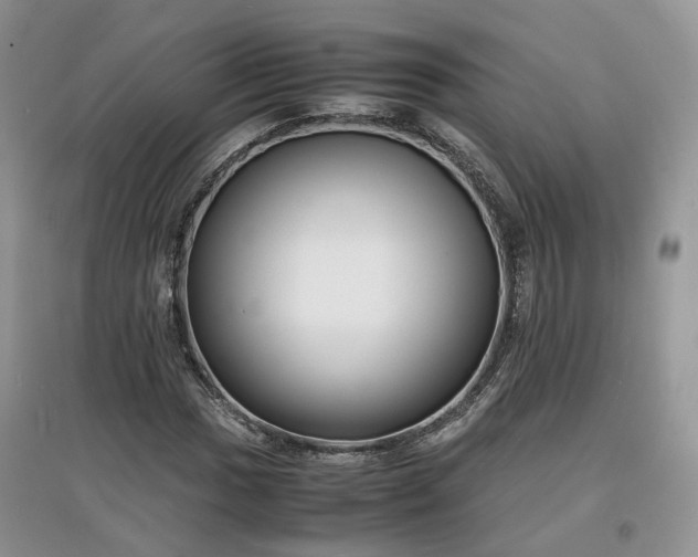 X0000097621017200803071505