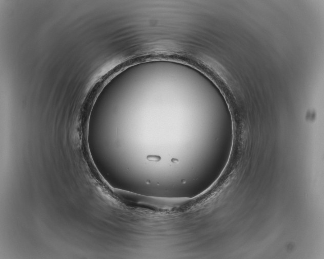 X0000097621018200803071505