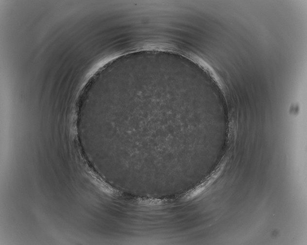 X0000097621019200803071506