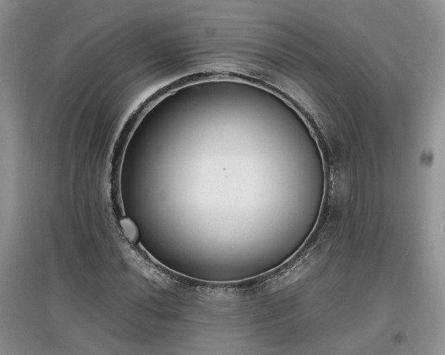 X0000097621020200803071506