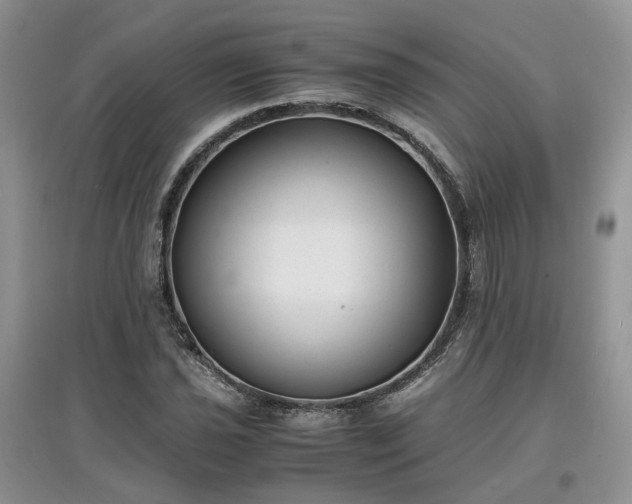 X0000097621021200803071506