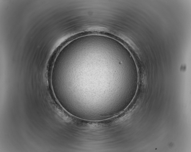 X0000097621022200803071506