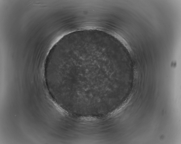 X0000097621023200803071506