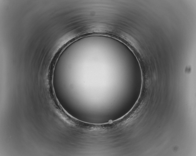 X0000097621026200803071506