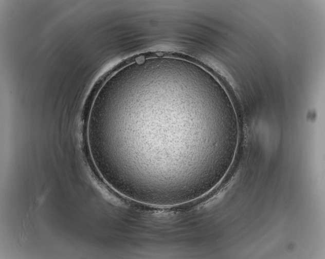 X0000097621029200803071506