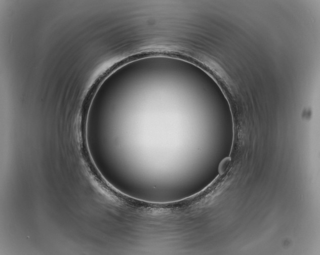 X0000097621030200803071506