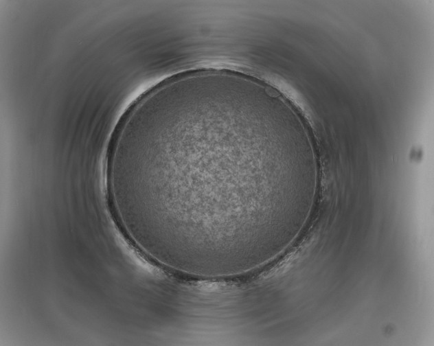 X0000097621032200803071506