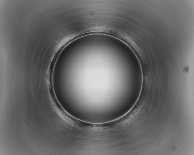 X0000097621034200803071506