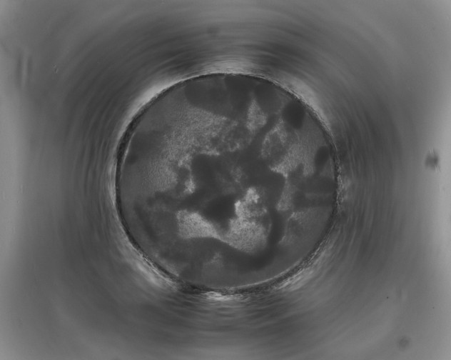 X0000097621035200803071506
