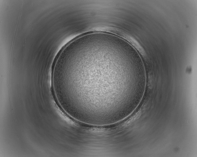 X0000097621036200803071506