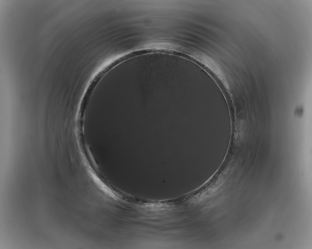 X0000097621037200803071506