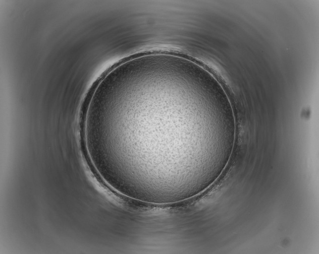 X0000097621038200803071506