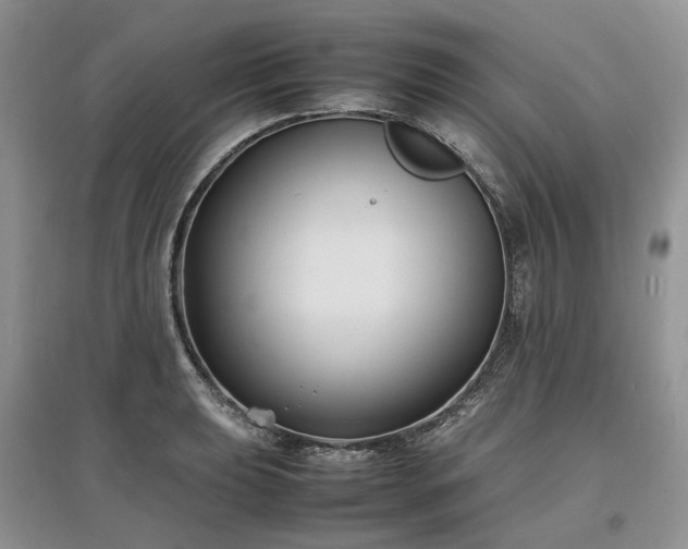 X0000097621039200803071506