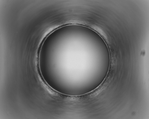 X0000097621040200803071506