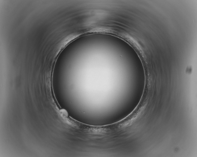 X0000097621041200803071506