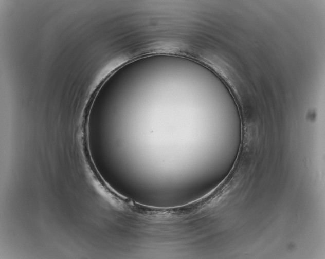 X0000097621042200803071506
