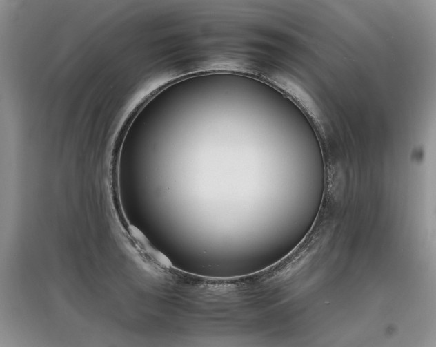 X0000097621043200803071506