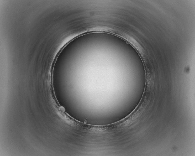 X0000097621044200803071506