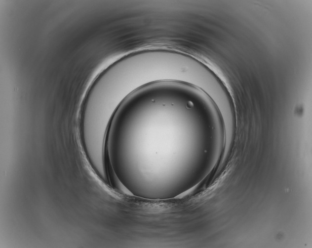 X0000097621045200803071506