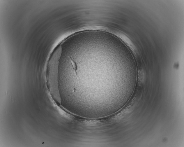 X0000097621046200803071506