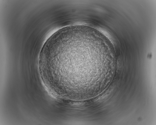X0000097621047200803071506