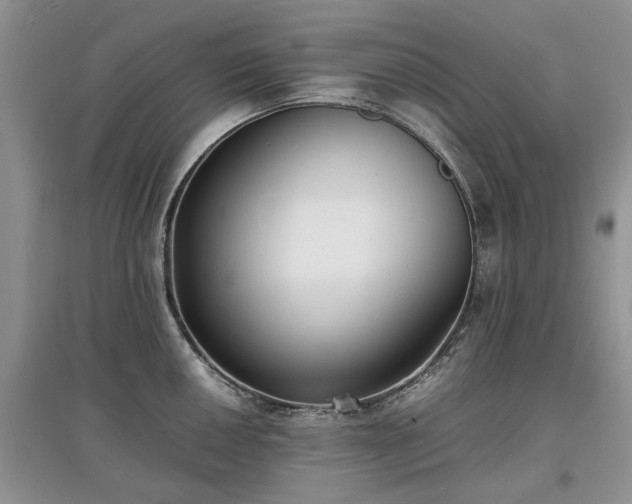 X0000097621050200803071506