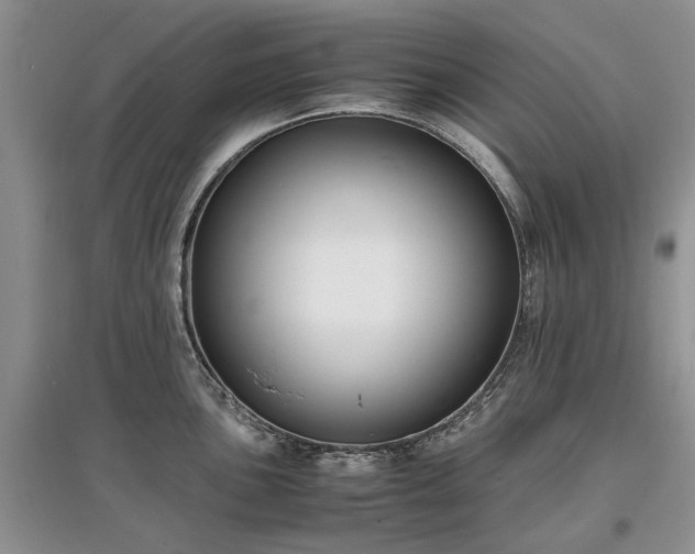 X0000097621051200803071506