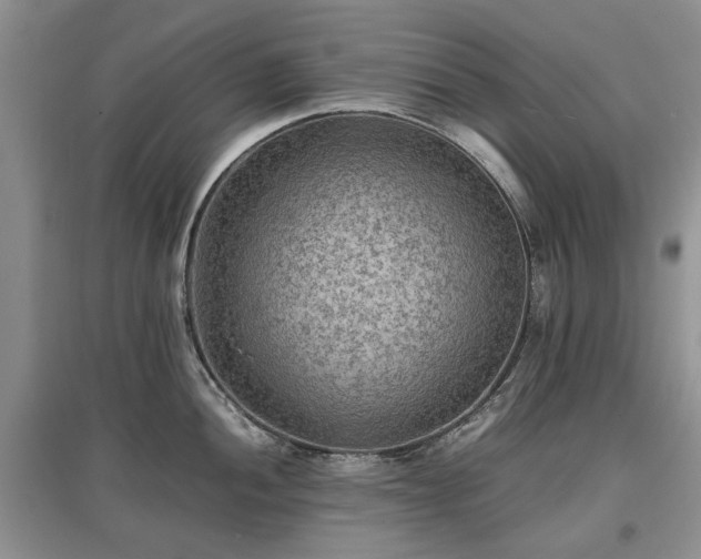 X0000097621052200803071506