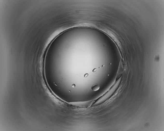 X0000097621054200803071506