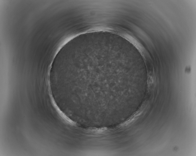 X0000097621055200803071506