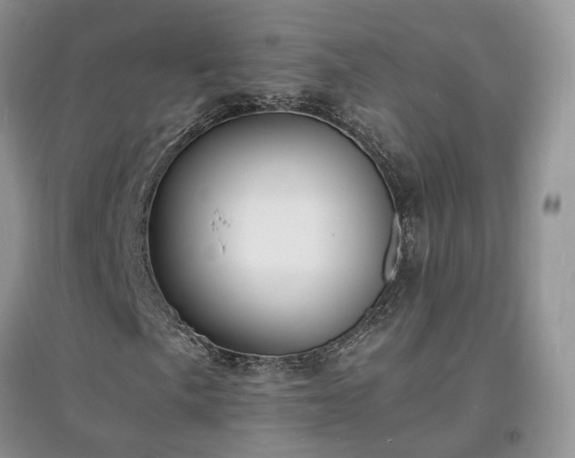 X0000097621057200803071505