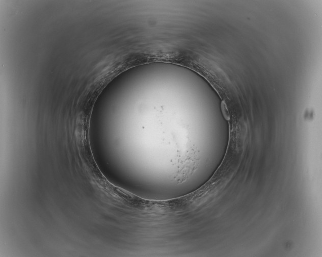 X0000097621058200803071505