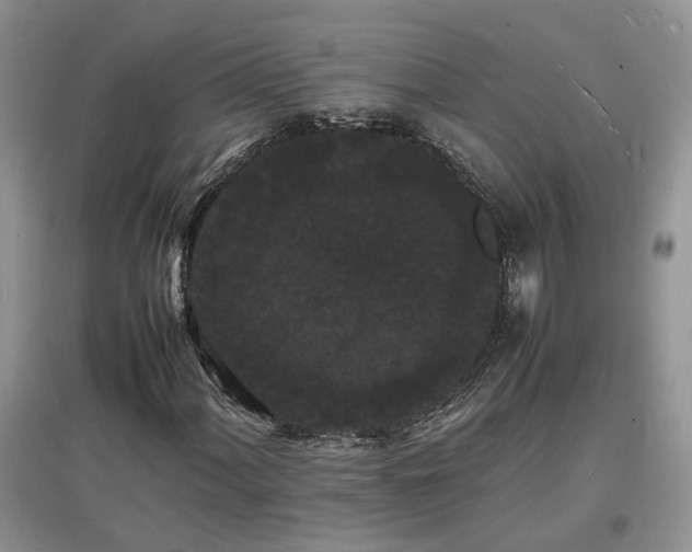 X0000097621060200803071505