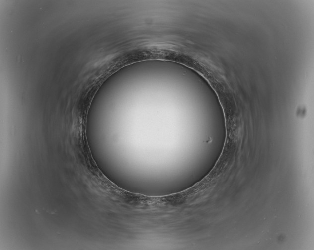 X0000097621061200803071505