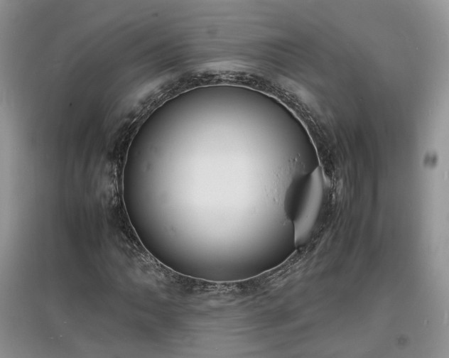 X0000097621062200803071505