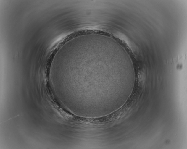 X0000097621064200803071505