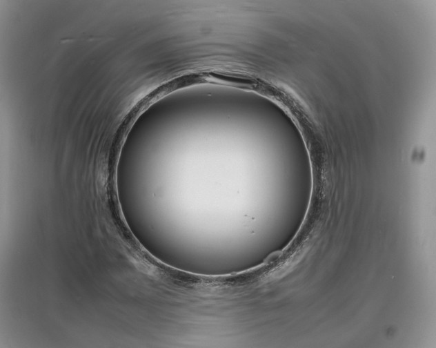 X0000097621065200803071505