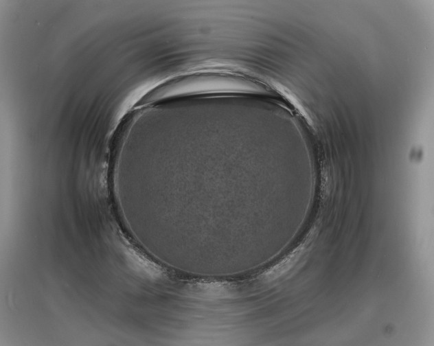 X0000097621066200803071505