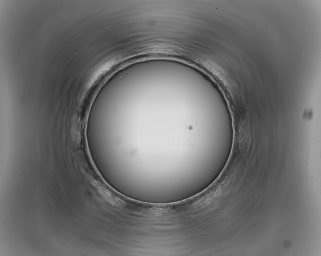X0000097621067200803071505