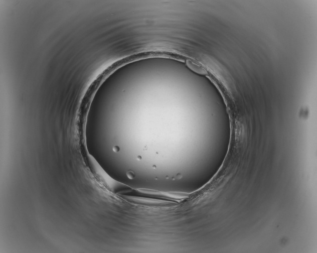 X0000097621068200803071505
