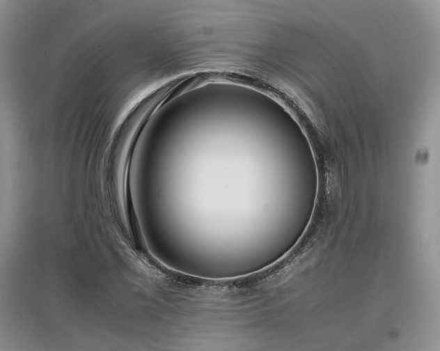 X0000097621069200803071505
