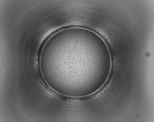 X0000097621070200803071505