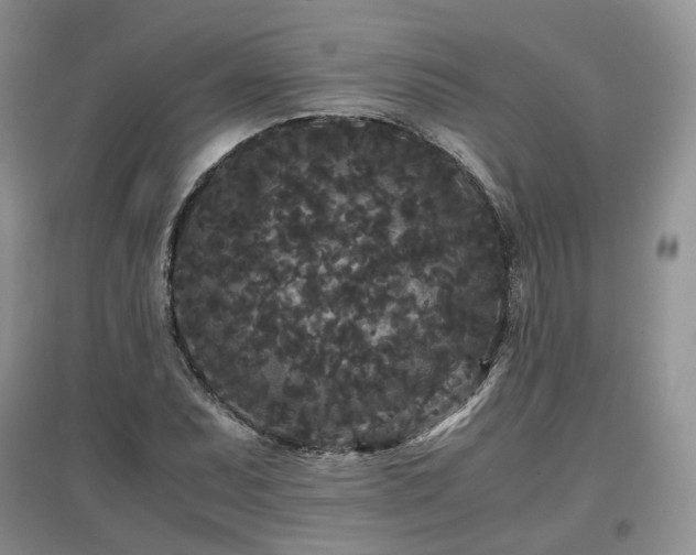 X0000097621071200803071505
