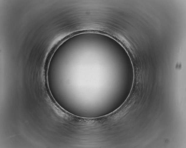 X0000097621072200803071505