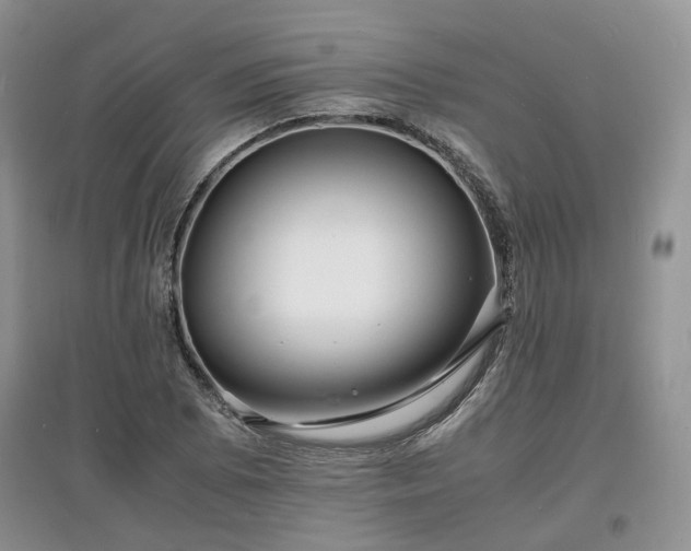 X0000097621073200803071505